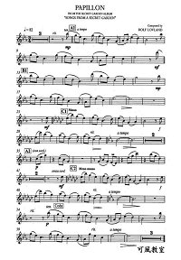 Song From A Secret Garden - Papillon for violin and piano - Instrument part - First page