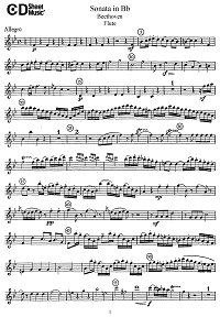Beethoven - Flute sonata B-flat major  - Flute part - first page