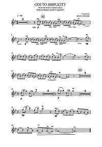 Song From A Secret Garden - Ode to Simplicity for violin and piano - Instrument part - First page